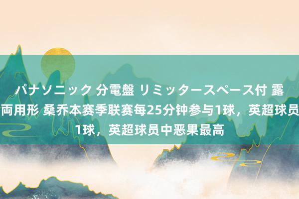パナソニック 分電盤 リミッタースペース付 露出・半埋込両用形 桑乔本赛季联赛每25分钟参与1球，英超球员中恶果最高