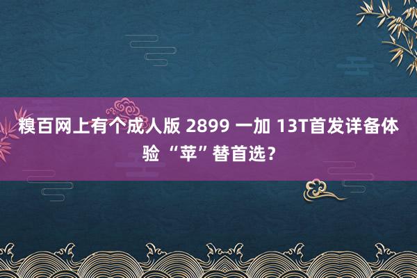 糗百网上有个成人版 2899 一加 13T首发详备体验 “苹”替首选？